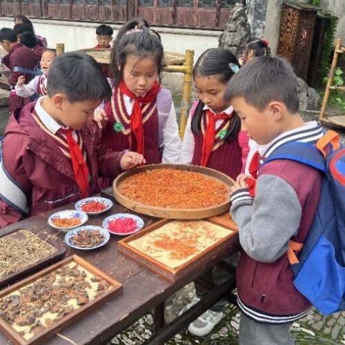 上海外国语大学附属宏达南浔学校校服